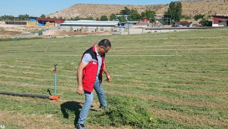 Nevşehir’de Yem Bitkileri Üretimi İçin Arazi Kontrolleri Sürüyor