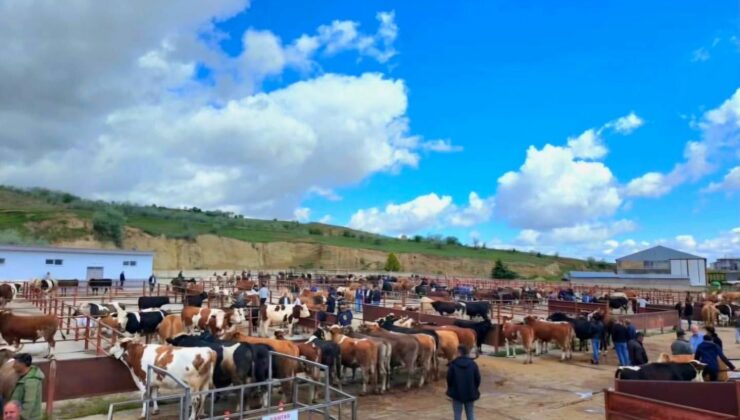 Nevşehir Hayvan Pazarı Geçici Olarak Kapatıldı