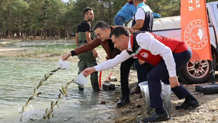 Nevşehir’de 5 Su Kaynağına 725 Bin Yavru Sazan Bırakıldı