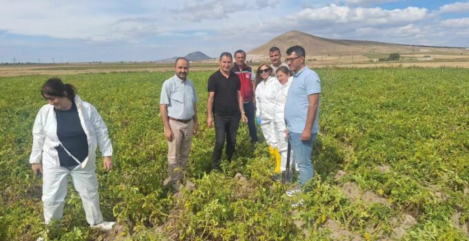 Nevşehir’de Patates Üretiminde Karantina Tedbirleri Değerlendirildi