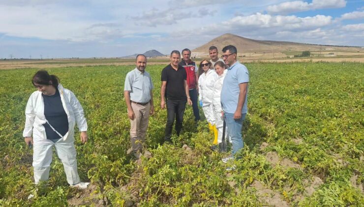 Nevşehir’de Patates Üretiminde Karantina Tedbirleri Değerlendirildi