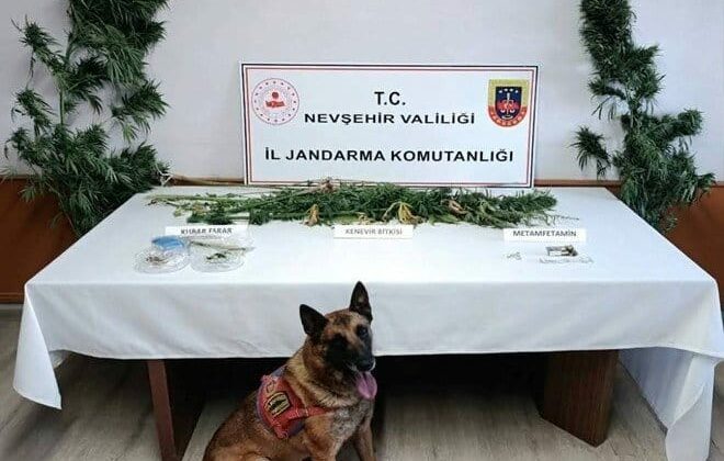 Nevşehir’de Jandarmadan Uyuşturucu Operasyonu