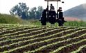 Çiftçiler Dikkat! ÇKS Başvuruları İçin Süre Azalıyor