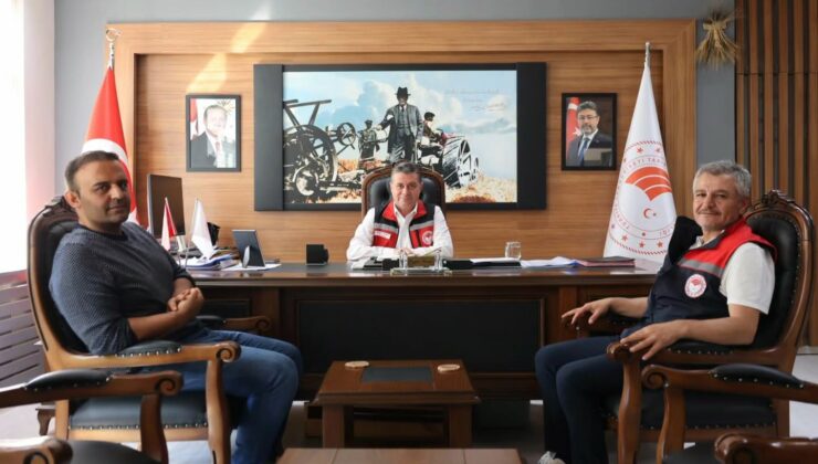 Nevşehir’de Koyun ve Keçi Vebasına Karşı Tarama Çalışması