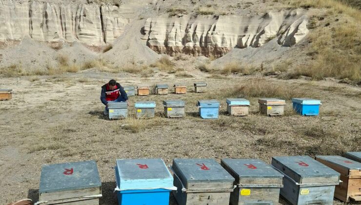 Nevşehir’de Arılı Kovan Desteklemesi İçin Saha Çalışmaları Sürüyor