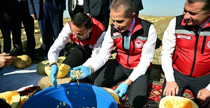 Nevşehir’de Kabak Çekirdeği Hasadı Başladı